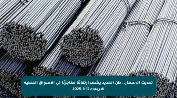 تحديث الأسعار.. طن الحديد يشهد ارتفاعًا مفاجئًا في الأسواق المحلية الأربعاء 17-9-2025